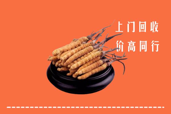 高价求购：鹤岗市兴安区回收散虫草