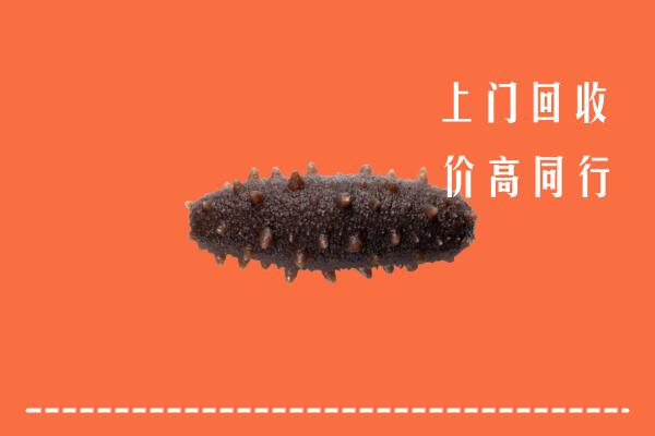 高价求购：鹤岗市兴安区回收海参