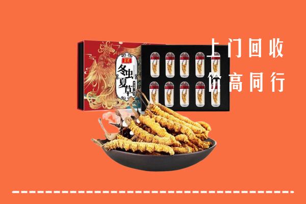 鹤岗市兴安区回收虫草
